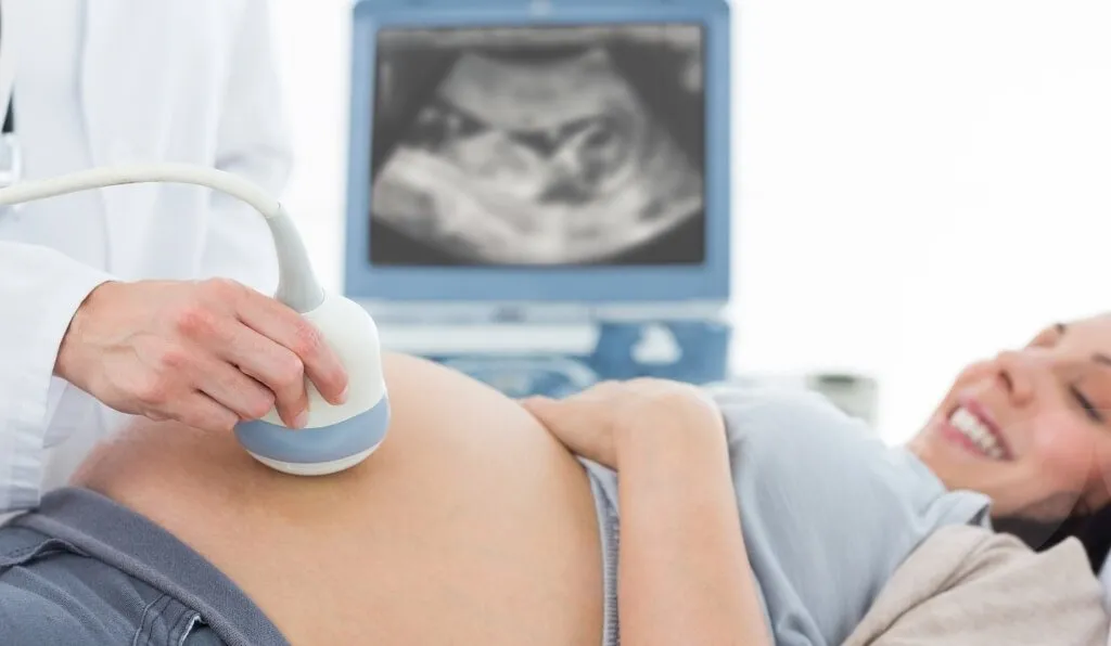 Ecografía obstétrica en Casa de la Luna, Chillán: imagen del bebé en pantalla durante el examen.